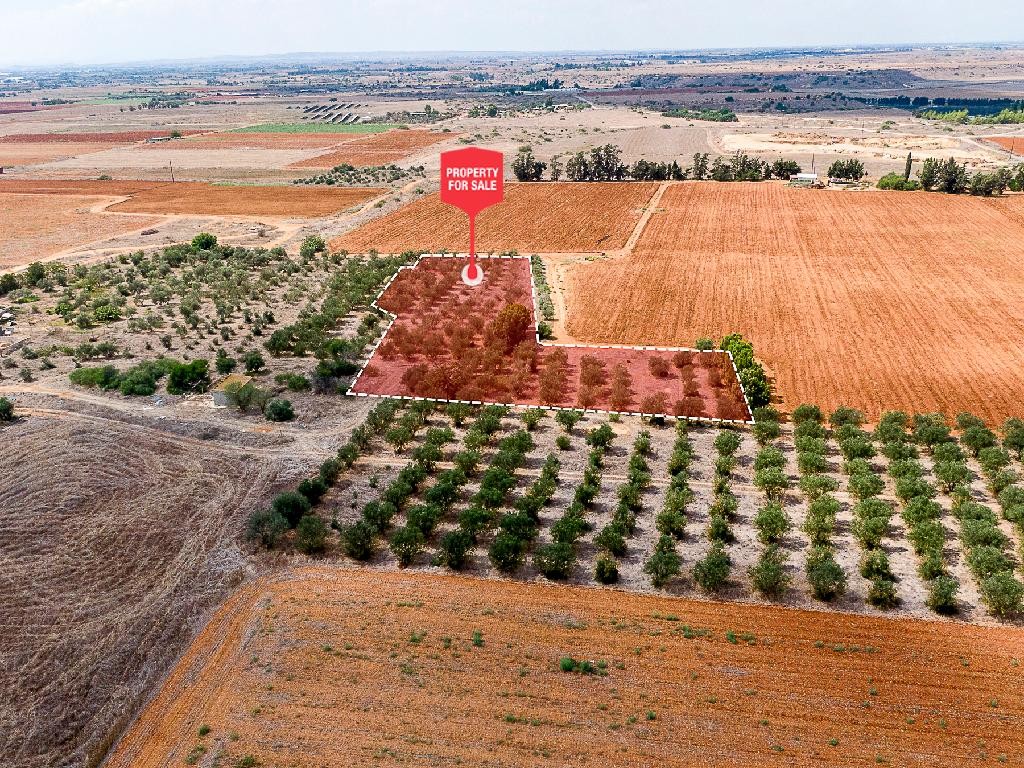 Avgorou, Famagusta Agricultural Field For Sale | WW31634