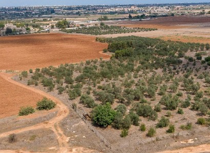 Avgorou, Famagusta Agricultural Field For Sale | WW31634