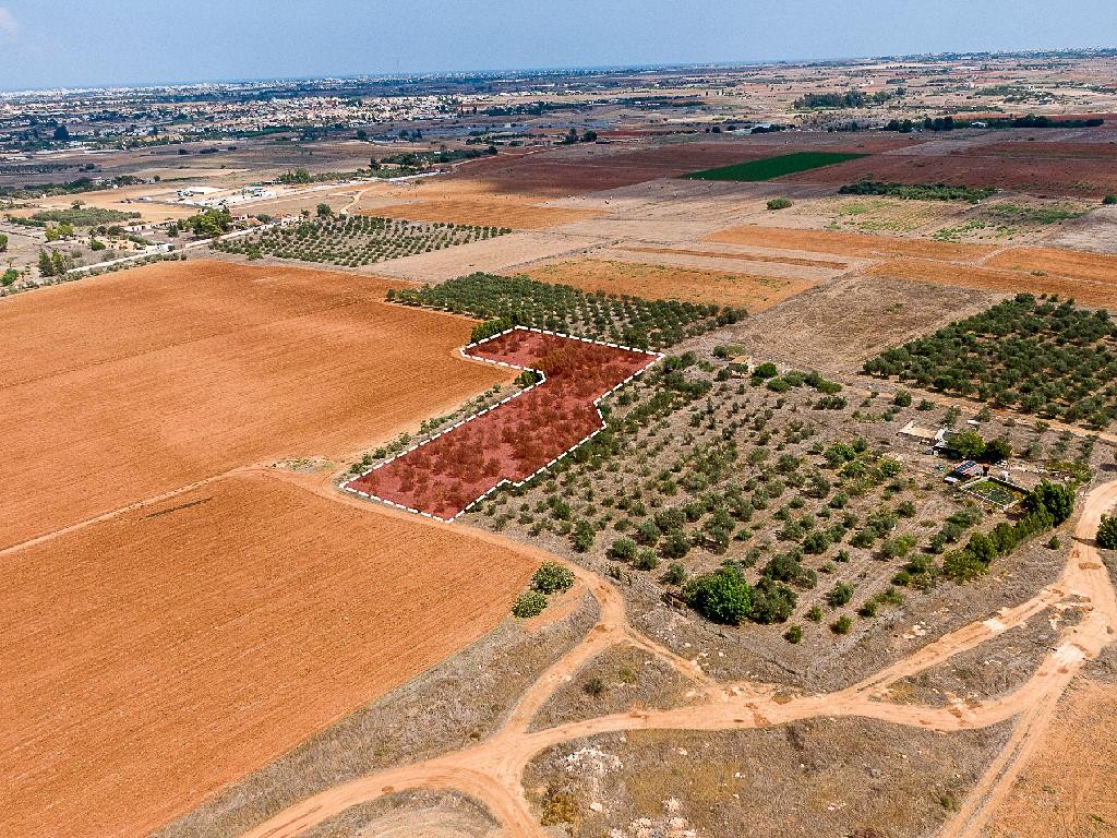 Field - Avgorou, Famagusta