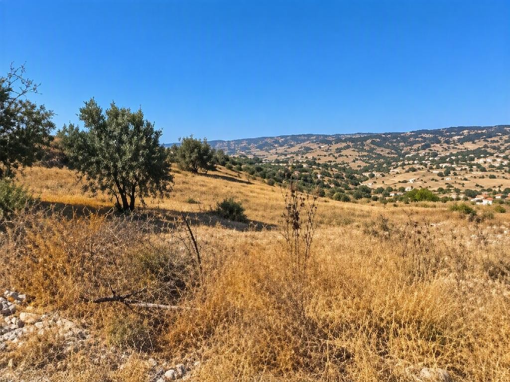 Psathi, Paphos Agricultural Field For Sale | WW31636