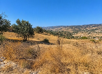Psathi, Paphos Agricultural Field For Sale | WW31636