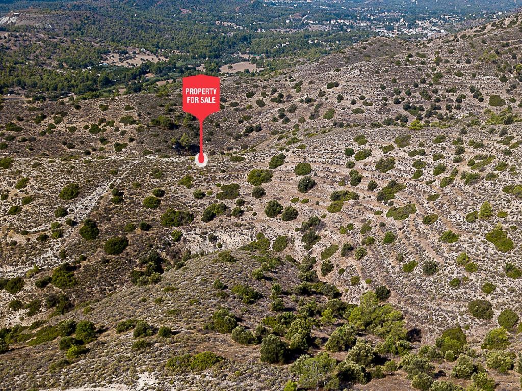 Psevdas, Larnaca Agricultural Field For Sale | WW31645
