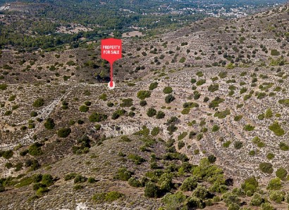 Psevdas, Larnaca Agricultural Field For Sale | WW31645