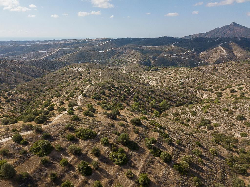 Field - Psevdas, Larnaca