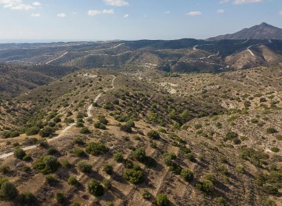 Psevdas, Larnaca Agricultural Field For Sale | WW31645