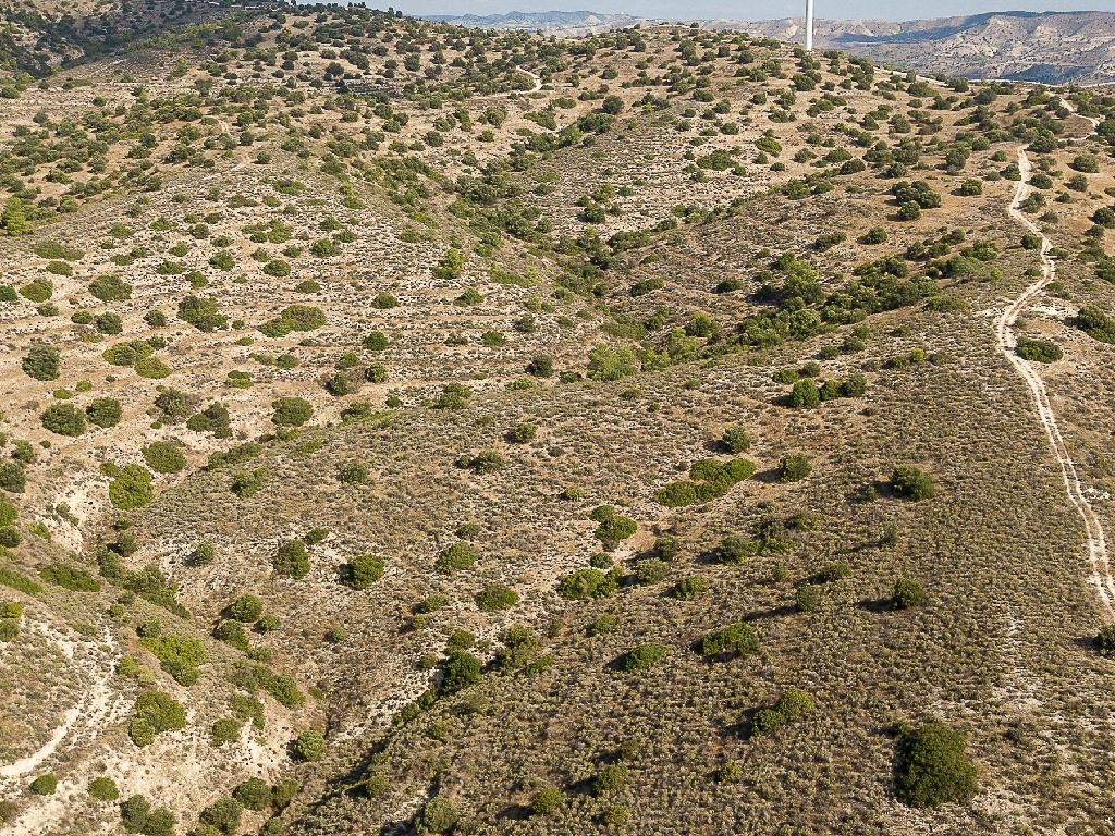Field - Psevdas, Larnaca