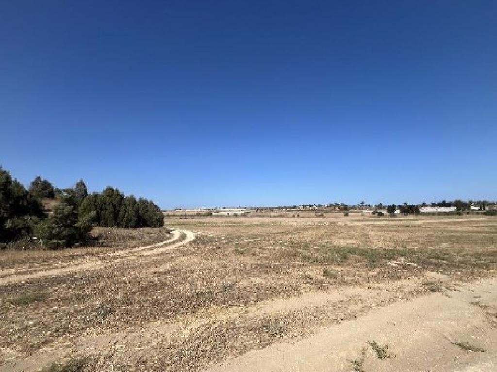 Dherynia, Famagusta Agricultural Field For Sale | WW31649