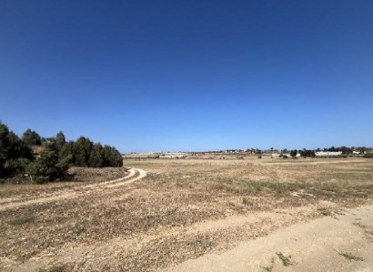 Dherynia, Famagusta Agricultural Field For Sale | WW31649