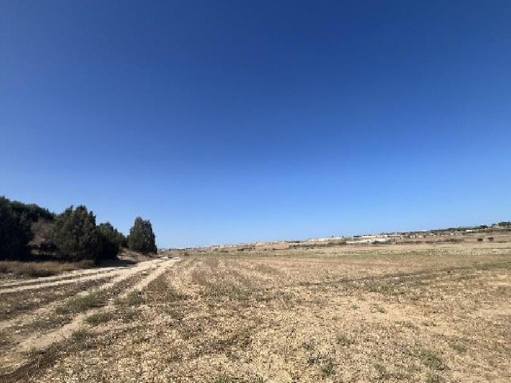 Field - Deryneia, Famagusta
