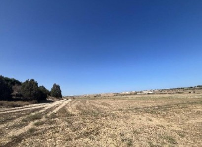 Dherynia, Famagusta Agricultural Field For Sale | WW31649