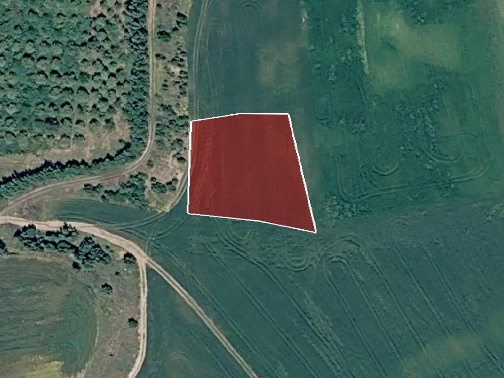 Field - Deryneia, Famagusta
