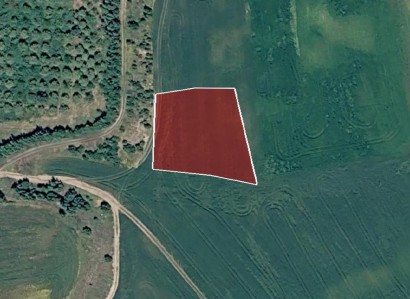 Dherynia, Famagusta Agricultural Field For Sale | WW31649
