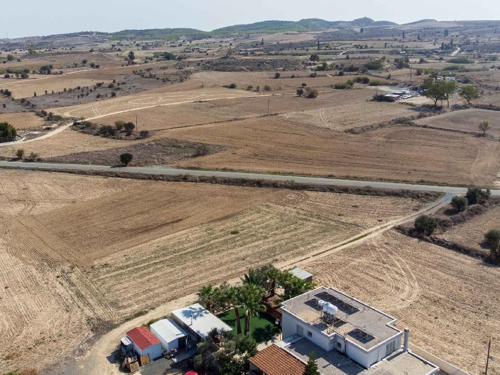 Field - Dali, Nicosia