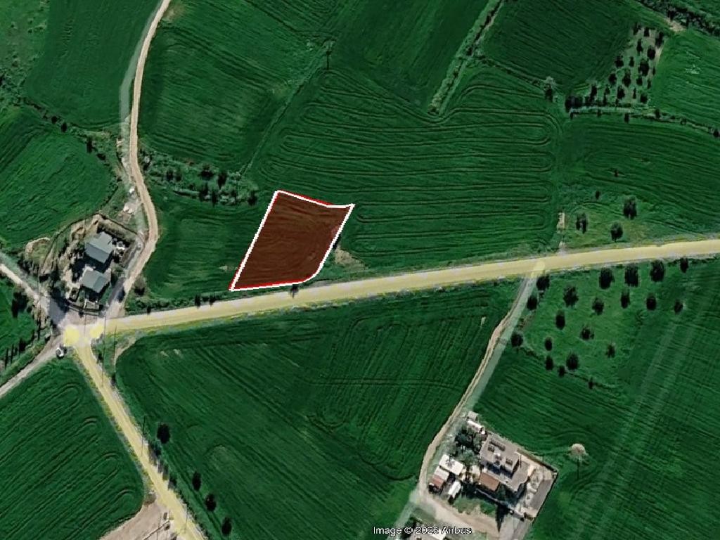 Field - Dali, Nicosia