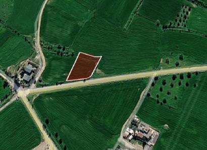 Dali, Nicosia Residential Field For Sale | WW31656