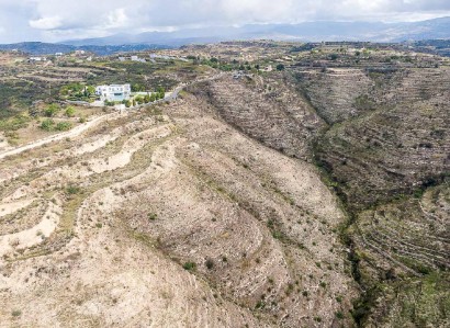 Tsada, Paphos Agricultural Field For Sale | WW31665