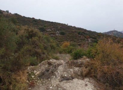 Gerasa, Limassol Agricultural Field For Sale | WW26736