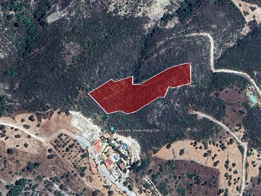 Field - Gerasa, Nicosia