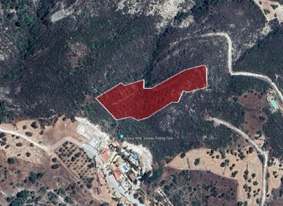Gerasa, Limassol Agricultural Field For Sale | WW26736