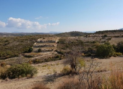 Ayios Therapon Agricultural Field For Sale | WW26740