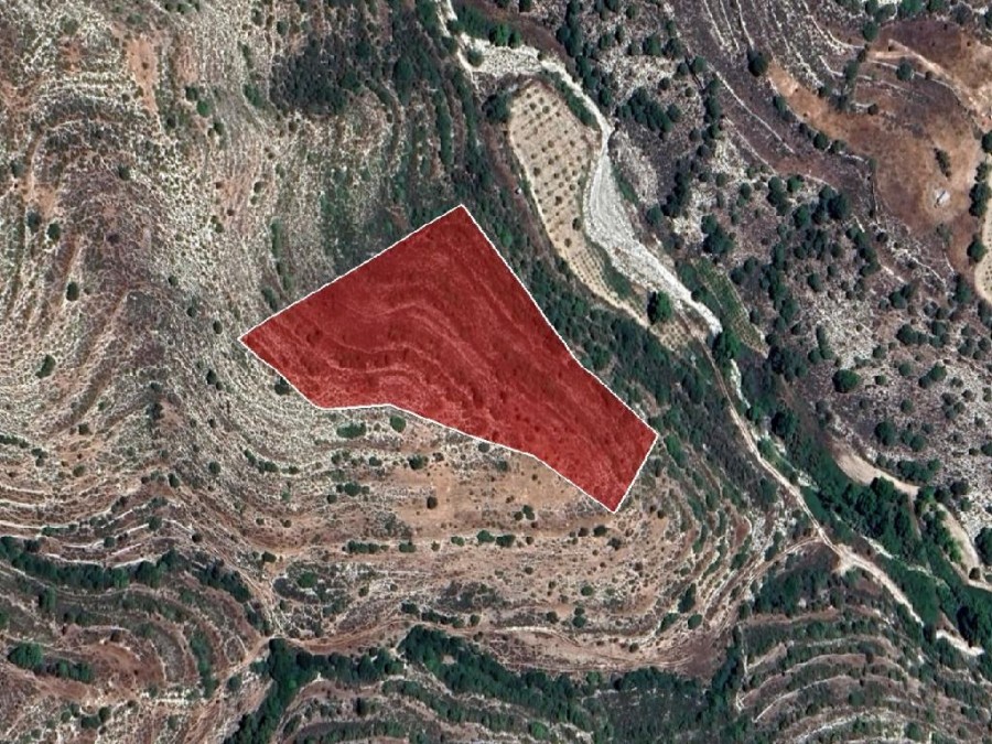 Field - Agios Therapon, Limassol
