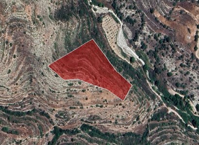 Ayios Therapon Agricultural Field For Sale | WW26740