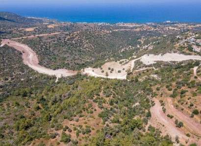 Neo Chorio, Paphos Agricultural Field For Sale | WW26753