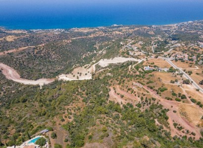 Neo Chorio, Paphos Agricultural Field For Sale | WW26753