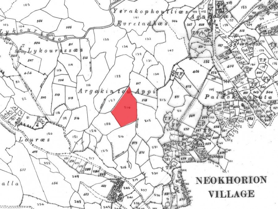 Field - Neo Chorio, Paphos