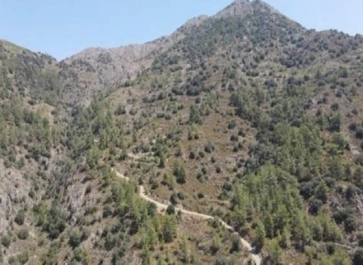 Sykopetra, Limassol Agricultural Field For Sale | WW26774