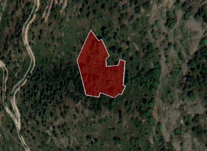 Sykopetra, Limassol Agricultural Field For Sale | WW26774