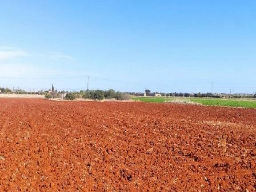 Avgorou, Famagusta Agricultural Field For Sale | WW26793