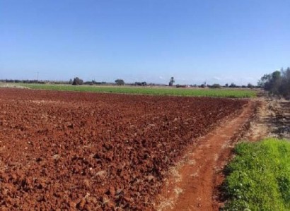 Avgorou, Famagusta Agricultural Field For Sale | WW26793