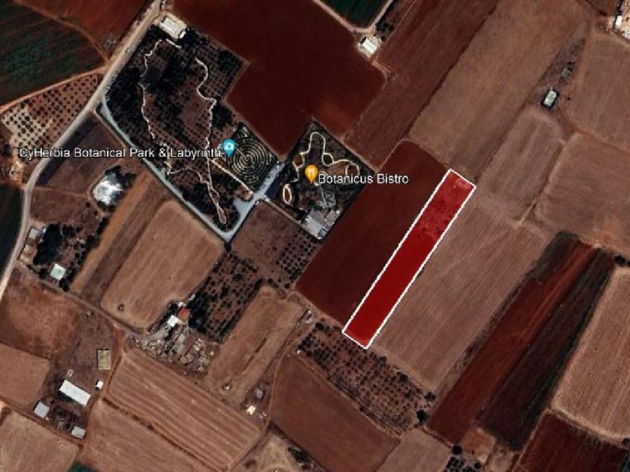 Field - Avgorou, Famausta