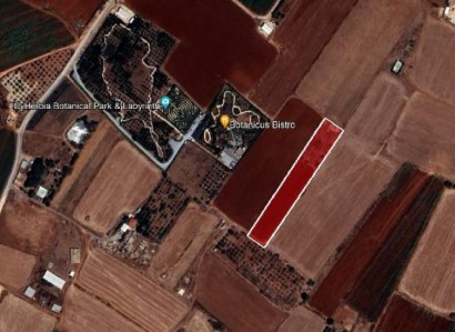 Avgorou, Famagusta Agricultural Field For Sale | WW26793