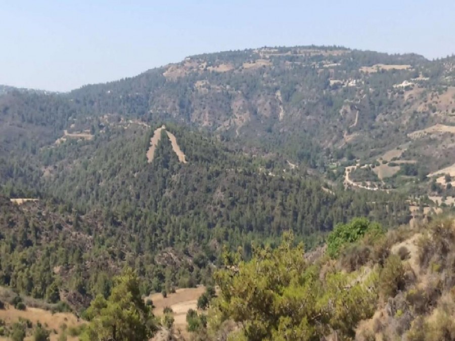 Kynousa, Paphos Agricultural Field For Sale | WW26795