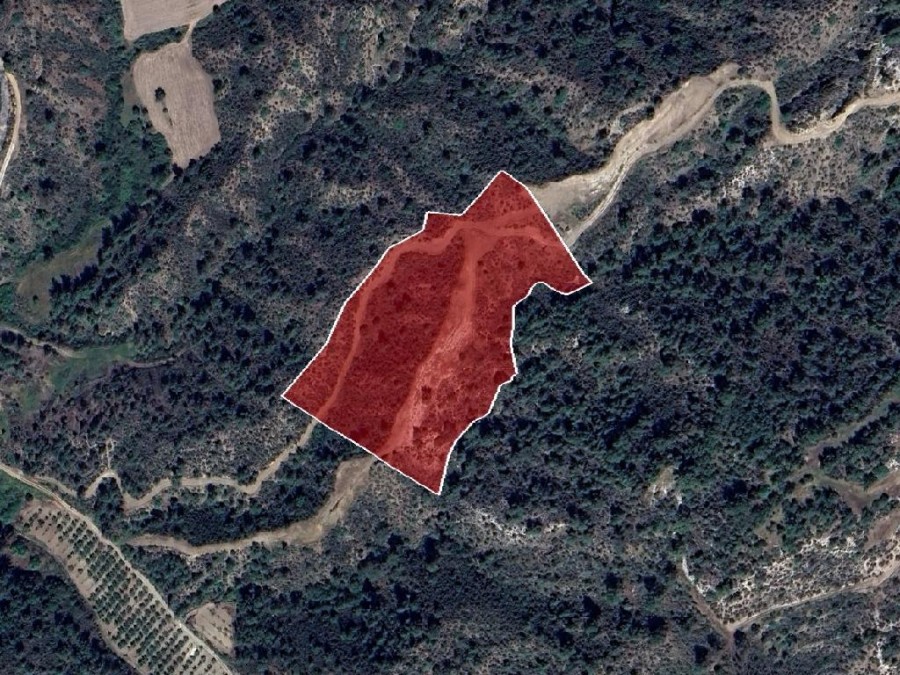 Field - Kinousa, Paphos
