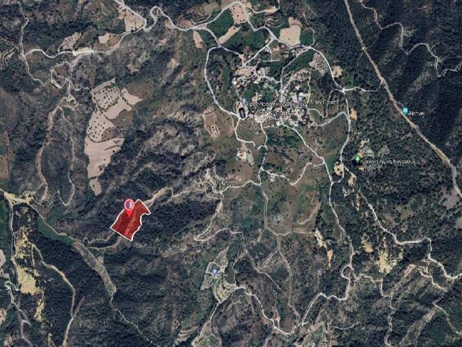 Field - Kinousa, Paphos