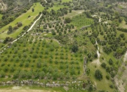 Meladeia, Paphos Agricultural Field For Sale | WW26818