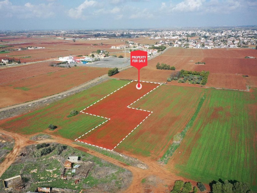Avgorou, Famagusta Agricultural Field For Sale | WW26821