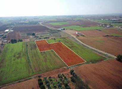 Avgorou, Famagusta Agricultural Field For Sale | WW26821