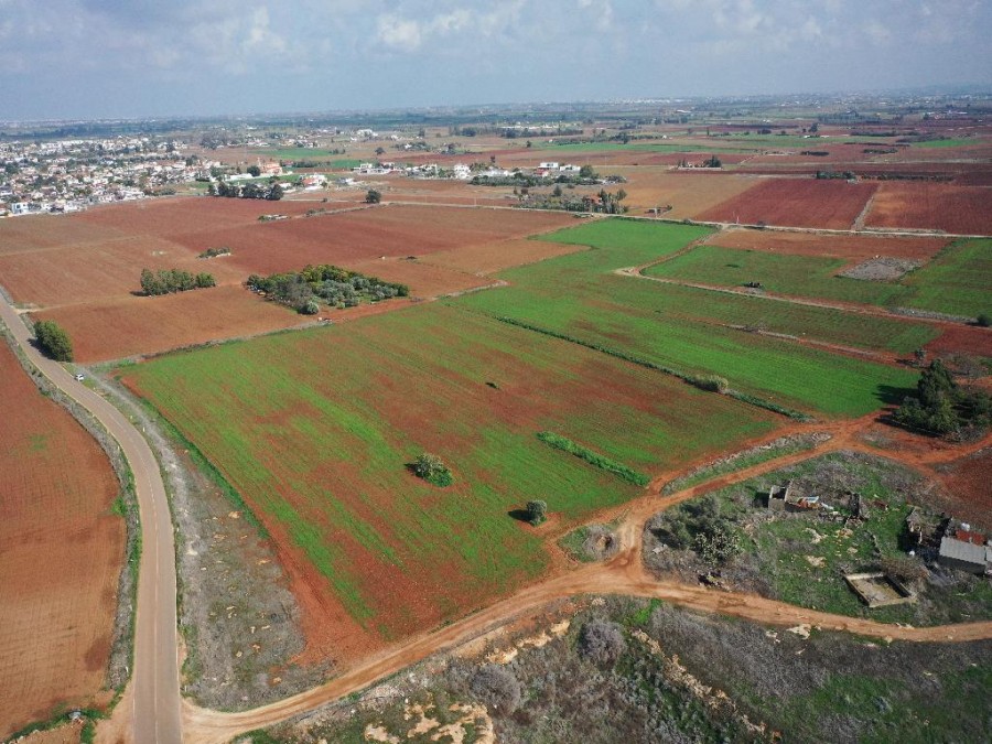 Field - Avgorou, Famagusta