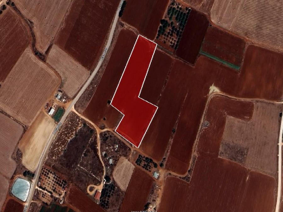 Field - Avgorou, Famagusta