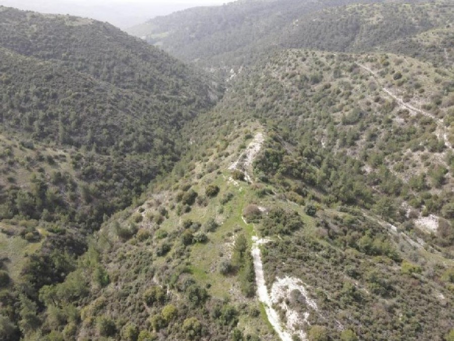 Amargeti, Paphos Agricultural Field For Sale | WW26825