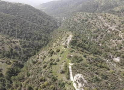 Amargeti, Paphos Agricultural Field For Sale | WW26825