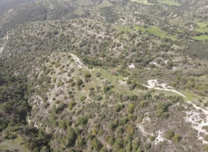 Amargeti, Paphos Agricultural Field For Sale | WW26825