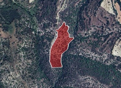 Amargeti, Paphos Agricultural Field For Sale | WW26825