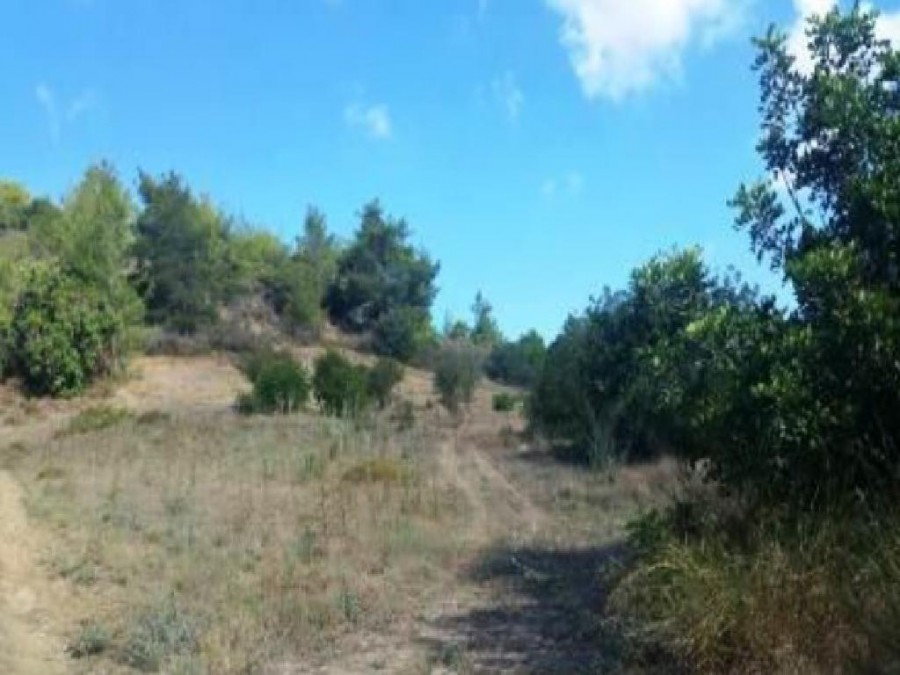 Peristerona, Paphos Agricultural Field For Sale | WW26831