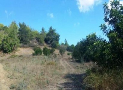 Peristerona, Paphos Agricultural Field For Sale | WW26831