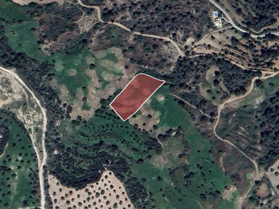 Field - Peristerona, Paphos